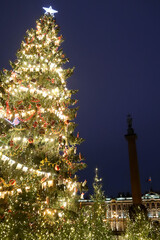 beautiful tall christmas tree with lights and toys on Palace square in Saint Petersburg, Russia