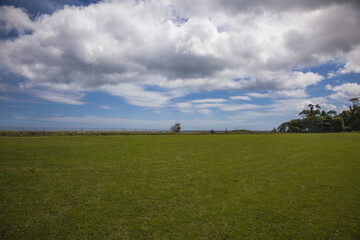 Obraz premium big green field on the irish coast