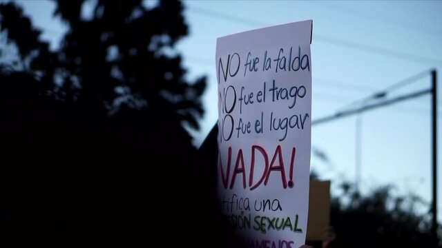 During the march on the International Women's Day a sign is held that says "it wasn't the skirt, nor the alcohol, nor the place. Nothing justifies sexual aggression".