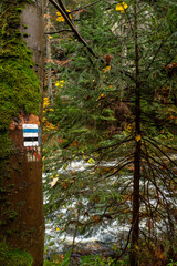 Oznaczenie szlaku turystycznego  © Kamil_k2p