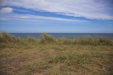 irish landscape on the beach