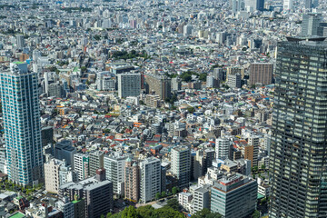 Naklejka premium View of Tokyo city