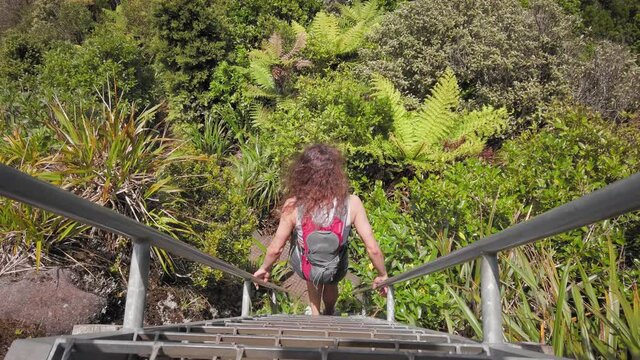 Hiking through dense native bush, Mt Karioi, New Zealand