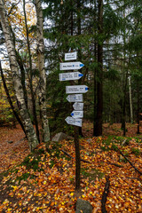 drogowskaz na skrzyżowaniu szlaków w górskim lesie © Kamil_k2p