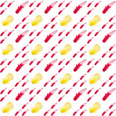 Red and yellow feather on white background, isolated, close-up, pattern