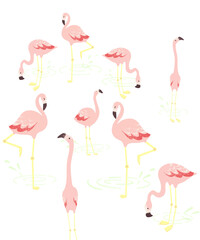 Obraz premium Pink cute flamingo in stylish style. Exotic summer print. Summer, spring background.
