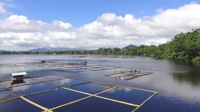 San Pablo City, Laguna, Philippines - January 7, 2021: Local fishermen working in floating fish cages on Sampaloc Lake. Drone aerial shot