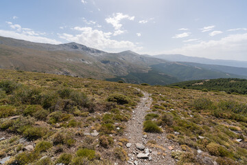 Fototapeta na wymiar road to the Sierra Nevada mountain