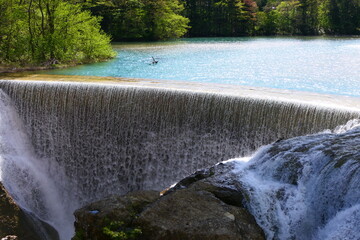 Obraz premium 新緑の矢櫃ダム。一関、岩手、日本。５月上旬。