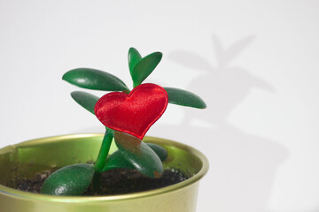 A room flower, in a golden pot on which hangs a red heart. White background