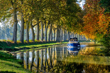 the canal du midi near the city of Toulouse in the fall - obrazy, fototapety, plakaty