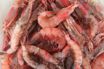 red raw fresh prawns as sea food delicacy