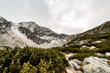 rocky mountain landscape