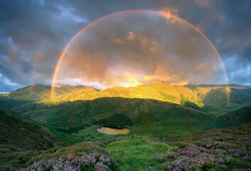 Fototapeta na wymiar Dramatic stunning rainbow at first light during sunrise over Blea Tarn in the Lake District, with heather in bloom