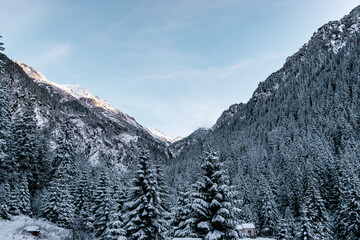 snow covered mountains