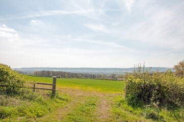 Fototapeta na wymiar Springtime landscape in the UK