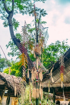 Tree mentioned (Vietnamese name is Cay Neu) - symbol of ethnic minority spiritual Kontum, Vietnam.