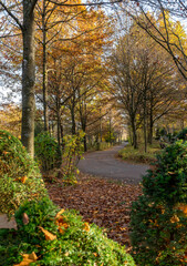 idyllic cemetery at autumn time