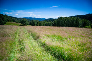landscape in the mountains