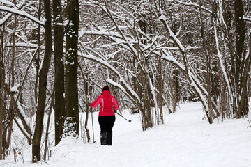 Fototapeta na wymiar Woman skier walking in the snow in the winter park, rear view. Leisure outdoors, nature after snowfall
