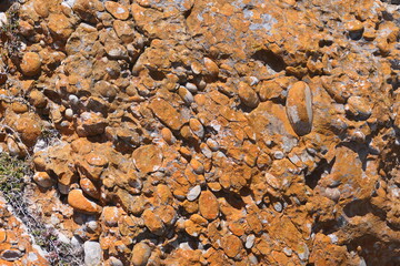 Robberg Nature Reserve mit einer Kolonie  Südafrikanischer Seebären (Arctocephalus pusillus). Bei Plettenberg Bay, Südafrika.