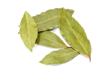 Obraz premium ローリエ