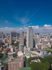Naklejka premium 東京タワーからの眺め