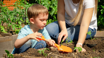 Child with mother working in garden and planting sporuts and vegetable seedlings at backyard