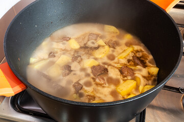 Beef and potato stew.
