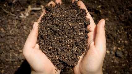 Female hands holding fertile ground from field. Concept of growth, environment protection and organic planting on farms.