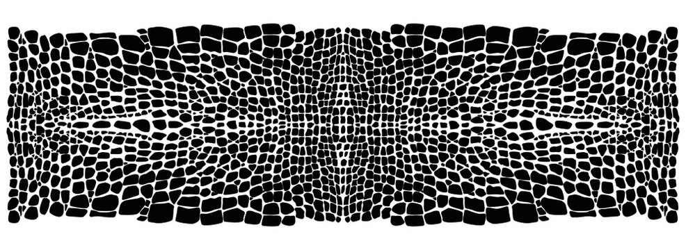 Reptile skin. Animal print background.