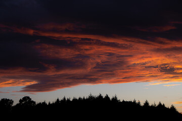 Fototapeta na wymiar Knalliger Sonnenuntergang über einem Wäldchen im Taunus