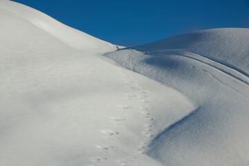 fresh snow cover in mountain