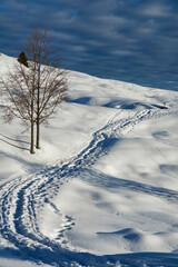 Fototapeta na wymiar winter landscape with footprints in the snow