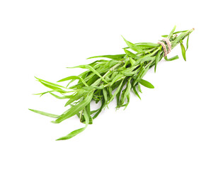 Fototapeta premium taragon leaves an isolated on white background
