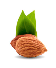 almond, isolated on white background