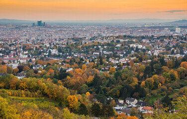 Vienna from the nearby hills
