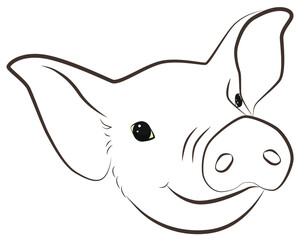 Illustration of a fun  pig muzzle with big ears.