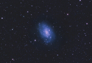 Galaxy NGC 300