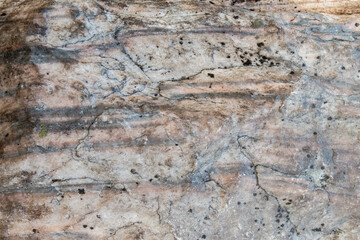 Naklejka premium The texture of a rocky hard stone with a relief gray-brown pattern with chips and protrusions, veins and swellings. Natural organic background for design.