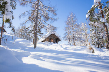 晴れた日の雪に覆われたロッジ