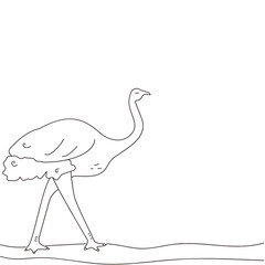 sketch of a ostrich  