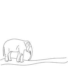 elephant isolated on white