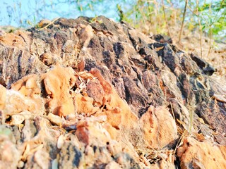 rock in the mountains