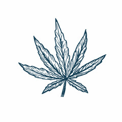 Hemp marijuana leaves symbol engraving sketch style