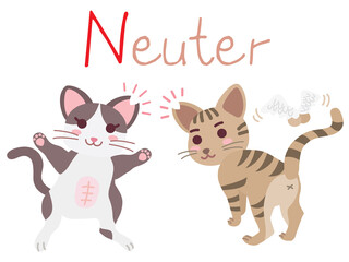 地域猫TNRの説明イラスト　Neuter