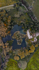 Fiume Ciane in una ripresa maestosa 