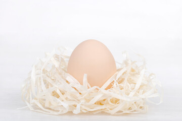 Raw organic brown egg in nest made of staw shreded paper.