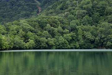 Fototapeta na wymiar 森と湖の風景