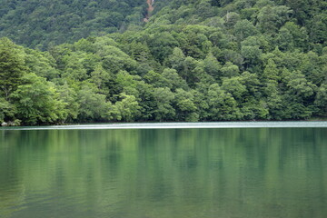 Obraz premium 森と湖の風景